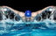 Bild von Delfin "Butterfly"